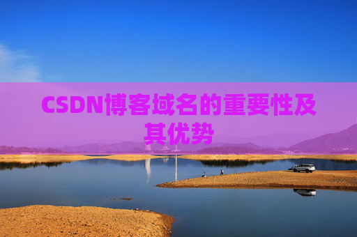 CSDN博客域名的重要性及其优势